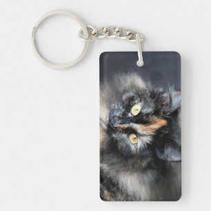 Chat sibérien