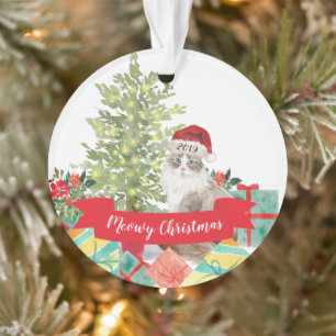 Chat sibérien de Noël