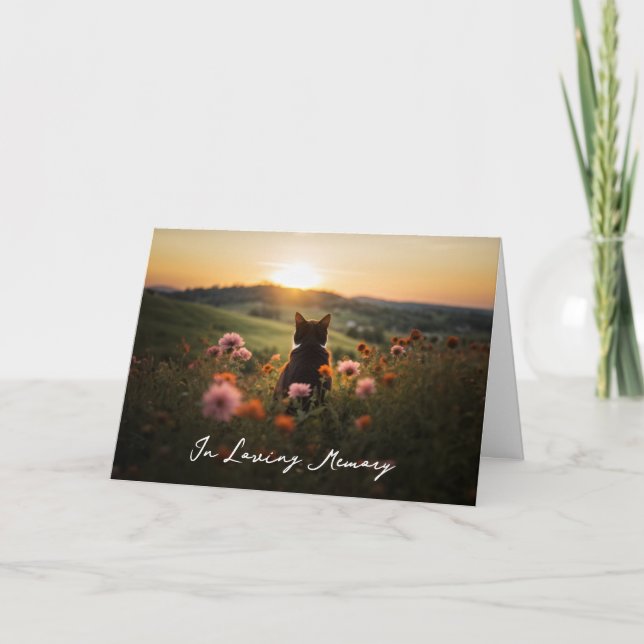 Chat-Silhouette bei Sonnenuntergang Beileid-Karte Einladung (Vorderseite)