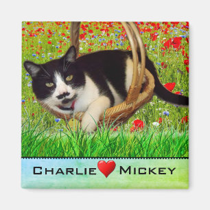 Chat Smoking en Basket Fridge Magnet
