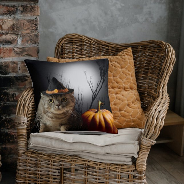 Chat-sorcière d'Halloween avec oreiller à lancer C (Halloween Witch Cat Pillow)