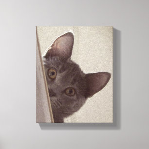 "Chat sournois" Imprimer sur toile étirée