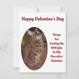 Chat sucht nach einem Valentinziffer für digitale  Mitteilungskarte
