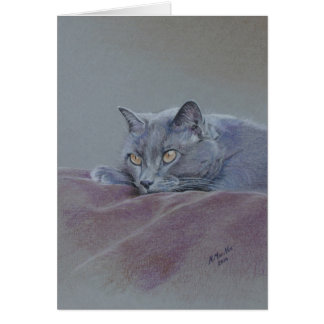 Chat sur la couverture, détendant juste,