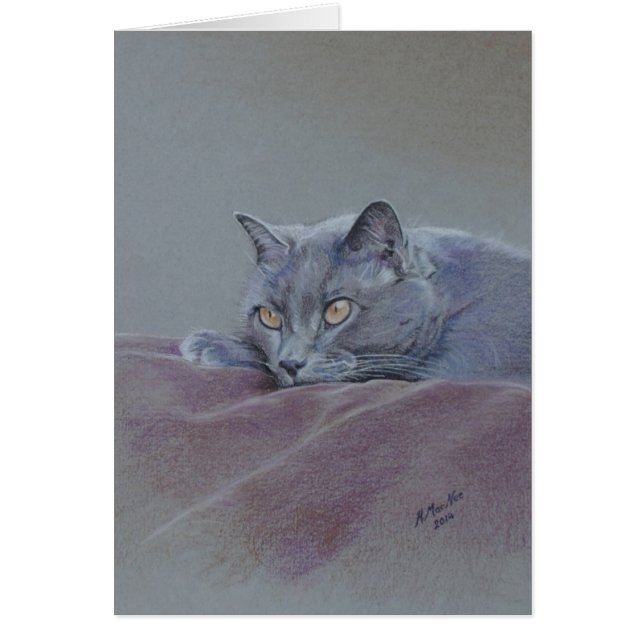 Chat sur la couverture, détendant juste, (Devant)