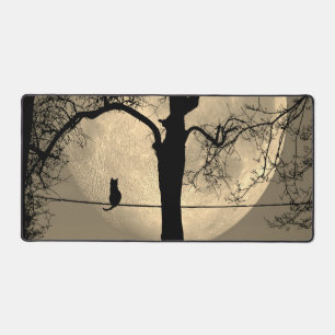 Chat sur une Pleine lune de fil