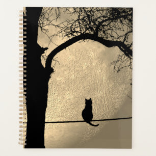 Chat sur une Pleine lune de fil