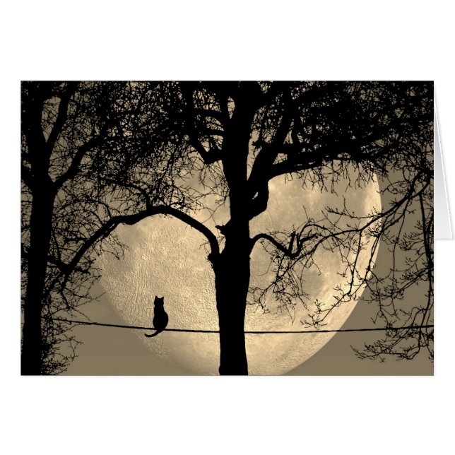 Chat sur une Pleine lune de fil vierge à l'intérie (Devant horizontal)