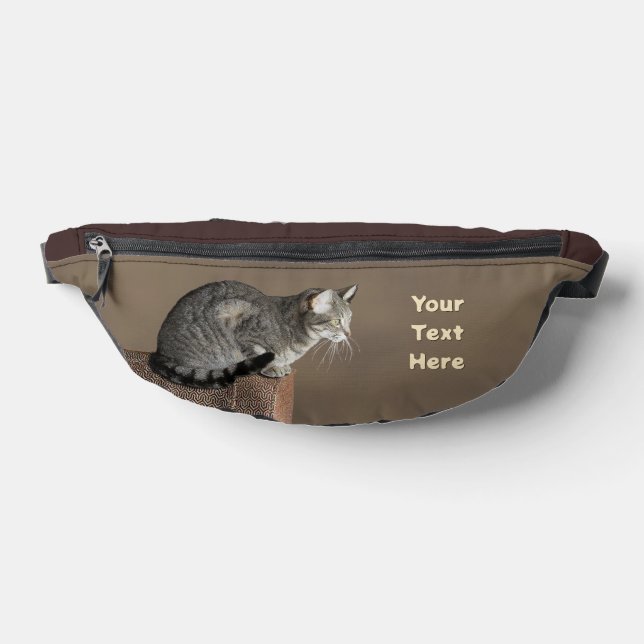Chat Tabby Gris Fumé (Poser)