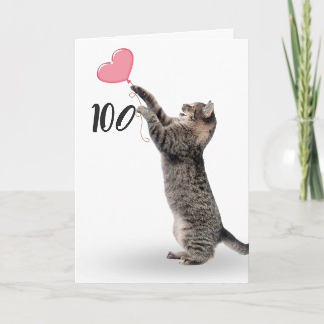 chat tabby ludique pour carte 100e anniversaire (Devant)