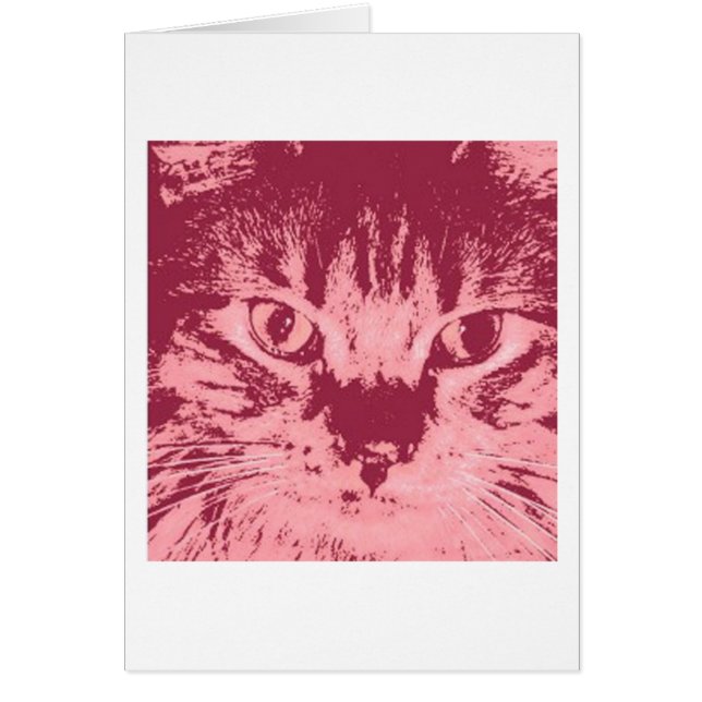 Chat Tabby Orange (Devant)