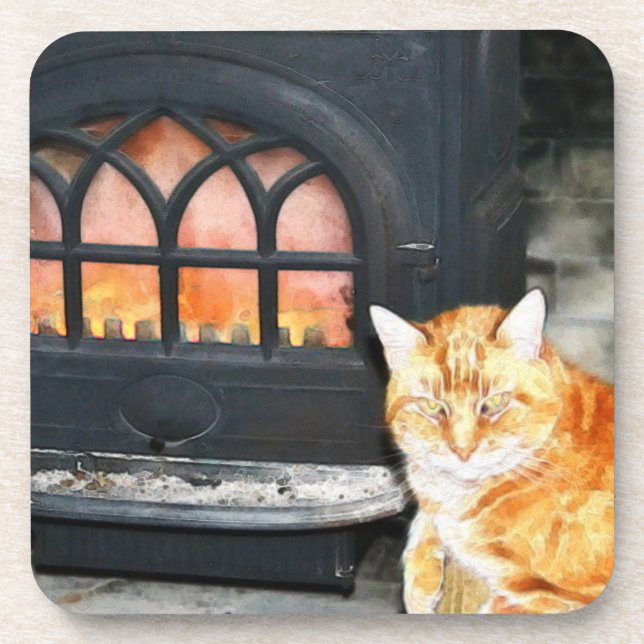 Chat Tabby Orange Par Dessous de verre Au Feu (Devant)