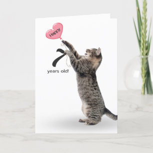 chat tabby pour la carte de 7ème anniversaire