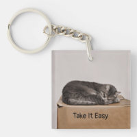 Chat tigré gris dormant sur la boîte