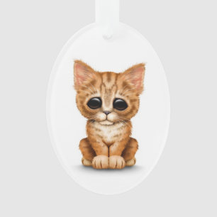 Chat tigré orange mignon triste de chaton sur le