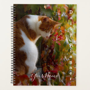 Chat tigré orange - Planificateur quotidien- HAMbW