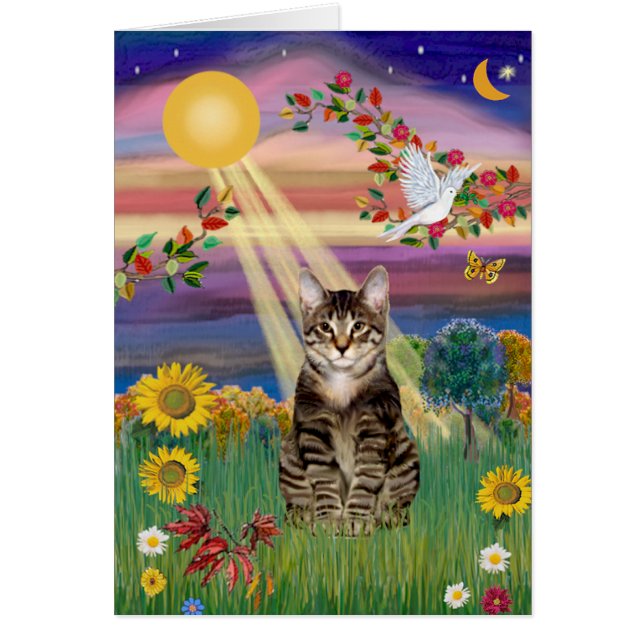 Chat (Tigre) - Soleil d'automne (Devant)