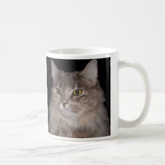 Chat velu gris sur la tasse de café