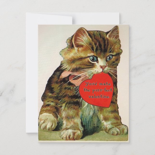 chat vintage tenant une carte de message valentine (Devant)
