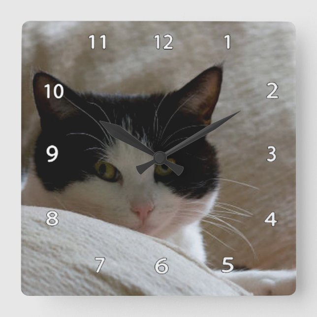 Chat Wall Clock Quadratische Wanduhr (Vorderseite)