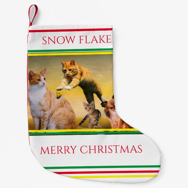 Chat Weihnachten Strumpf Personalisiert Kleiner Weihnachtsstrumpf (Vorderseite)