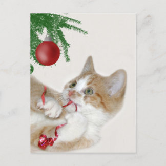 Chat Weihnachtsspass Feiertagspostkarte