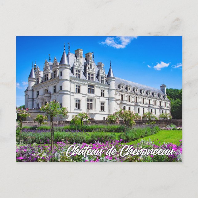 Chateau de Chenonceau, France Postkarte (Vorderseite)