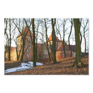 Château de l'Ordre Teutonique Neidenburg - Photo