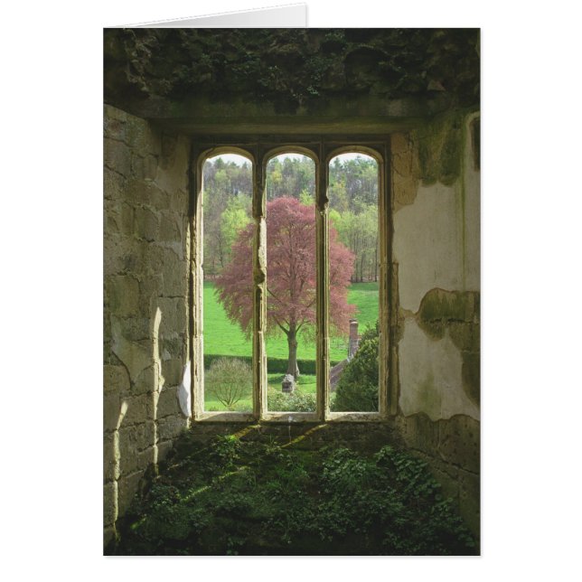 Château de Wardour (Devant)