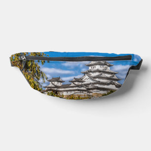 Château Himeji #5, Japon