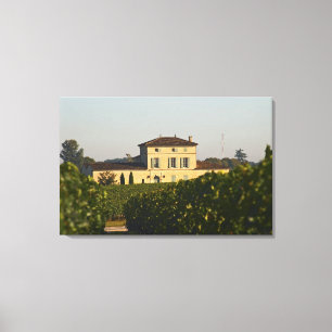 Chateau Lafleur Petrus und Weinberg, in Pomerol, Leinwanddruck