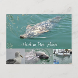 Chatham, Massenpostkarte mit Niedlichen Siegeln Postkarte