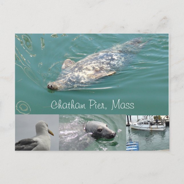 Chatham, Massenpostkarte mit Niedlichen Siegeln Postkarte (Vorderseite)