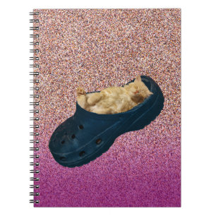 Chaton À Dormir En Chaussure Croc, Carnet