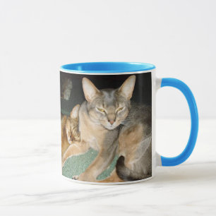 Chaton abyssinien et Mugs de chat