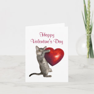 Chaton avec la grande carte rouge de Valentine de