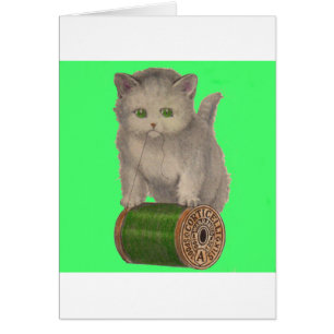 Chaton blanc Corticelli 1930