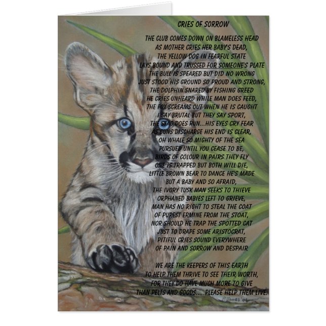chaton cougar chaton grand chat peinture de la fau (Devant)