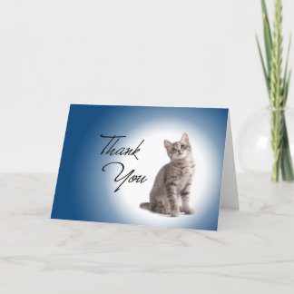 Chaton de Merci sur bleu-foncé