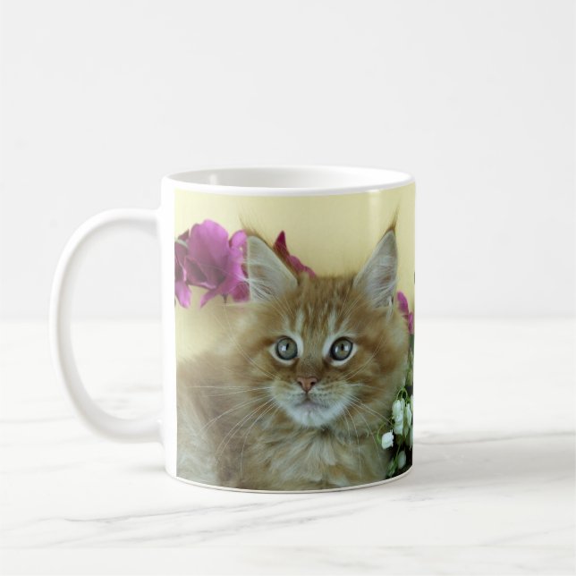 Chaton de ragondin du Maine de tasse (Gauche)