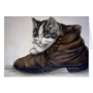 Chaton en chaussure