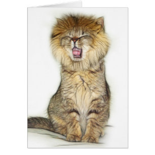 Chaton lion torse