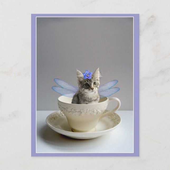 Chaton mignon en carte postale de tasse de thé (Devant)