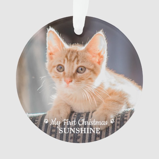 Chaton photo pour animal de compagnie personnalisé (devant)