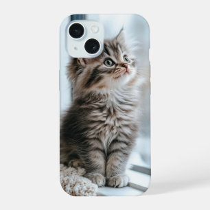 Chaton regardant par la fenêtre
