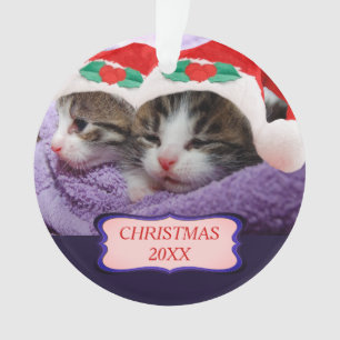 Chatons avec chapeau de Père Noël Noël 20XX