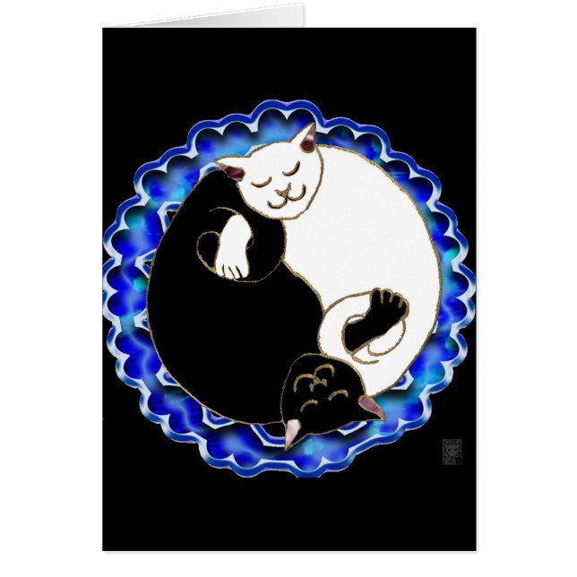 chatons de yang de yin (Devant)