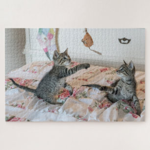 chatons en jeu puzzle