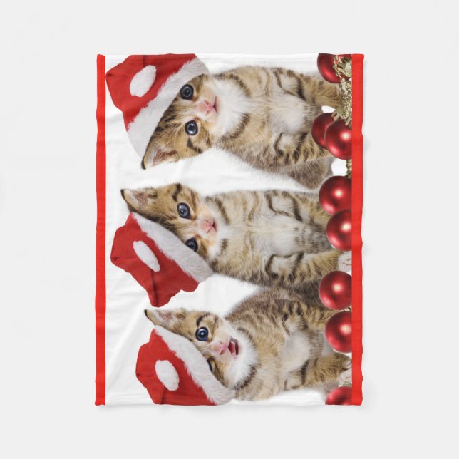 Chatons utilisant la couverture d'ouatine de (Devant)