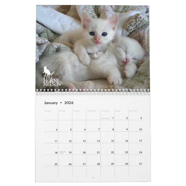 Chatons vol. de Ragdoll. Un calendrier (Jan 2026)